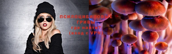 a pvp Алзамай