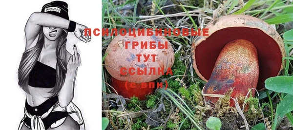 хмурый Арсеньев