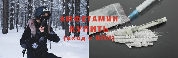 стаф Алексин