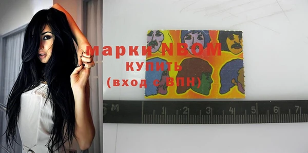 хмурый Арсеньев