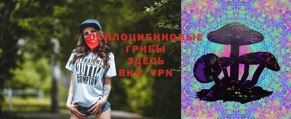 a pvp Алзамай