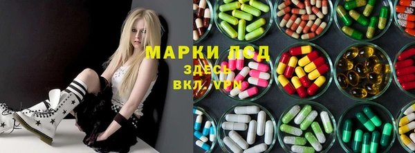 хмурый Арсеньев